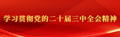 学习贯彻党的二十届三中全会精神